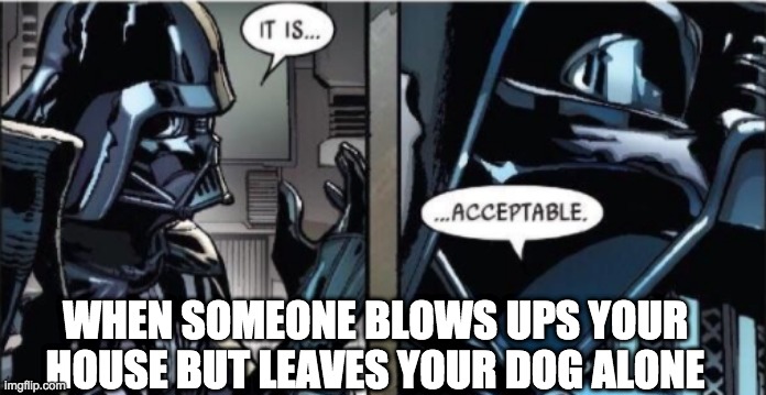 It Is Acceptable | WHEN SOMEONE BLOWS UPS YOUR HOUSE BUT LEAVES YOUR DOG ALONE | image tagged in it is acceptable | made w/ Imgflip meme maker