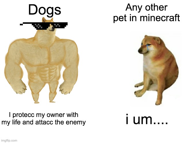 Buff Doge vs. Cheems | Dogs; Any other pet in minecraft; I protecc my owner with my life and attacc the enemy; i um.... | image tagged in memes,buff doge vs cheems | made w/ Imgflip meme maker