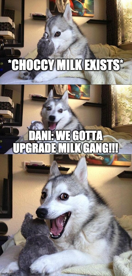 Dani Choccy Milk | *CHOCCY MILK EXISTS*; DANI: WE GOTTA UPGRADE MILK GANG!!! | image tagged in memes,bad pun dog,choccy milk | made w/ Imgflip meme maker