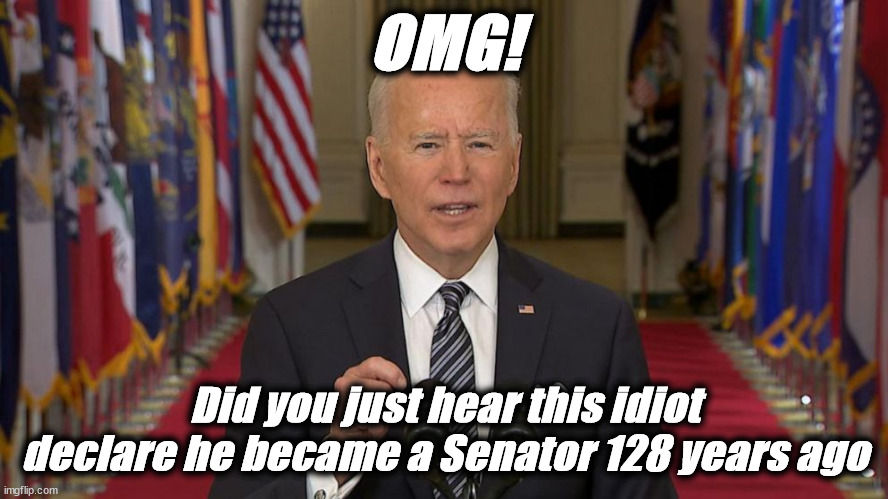 idiot | OMG! Did you just hear this idiot declare he became a Senator 128 years ago | image tagged in idiot | made w/ Imgflip meme maker