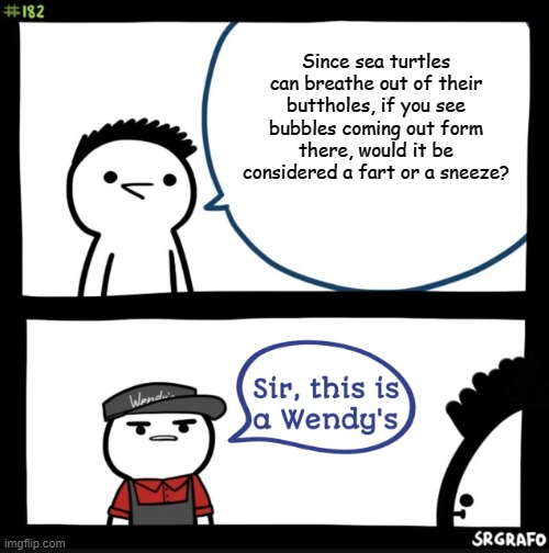 Sir this is a wendys | Since sea turtles can breathe out of their buttholes, if you see bubbles coming out form there, would it be considered a fart or a sneeze? | image tagged in sir this is a wendys,memes | made w/ Imgflip meme maker