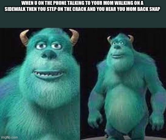 Let your imagination run wild with memes lol | WHEN U ON THE PHONE TALKING TO YOUR MOM WALKING ON A SIDEWALK THEN YOU STEP ON THE CRACK AND YOU HEAR YOU MOM BACK SNAP | image tagged in funny | made w/ Imgflip meme maker