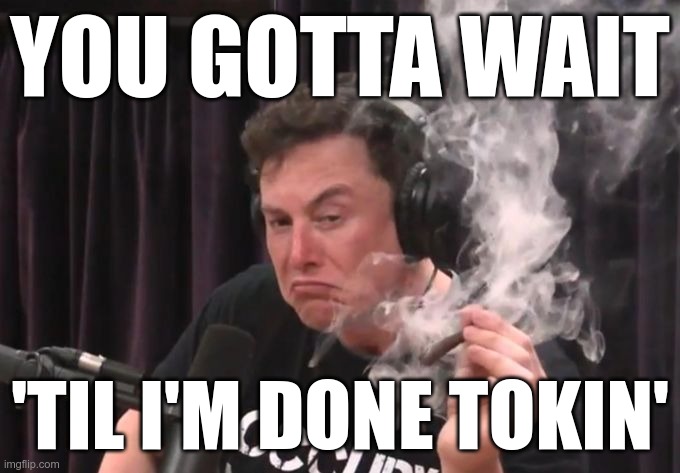Elon Musk Smoking Weed | YOU GOTTA WAIT 'TIL I'M DONE TOKIN' | image tagged in elon musk smoking weed | made w/ Imgflip meme maker