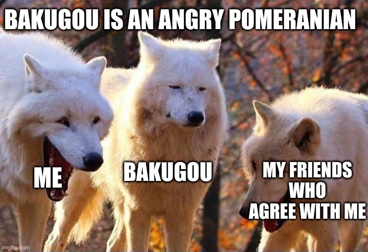 ._. | BAKUGOU IS AN ANGRY POMERANIAN; MY FRIENDS WHO AGREE WITH ME; BAKUGOU; ME | image tagged in laughing wolf,mha,bakugo | made w/ Imgflip meme maker