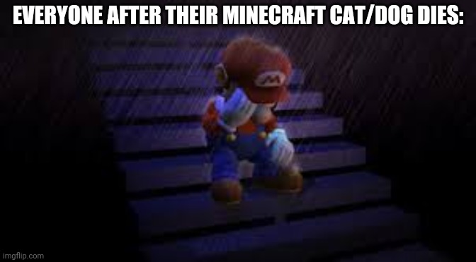 Sad mario | EVERYONE AFTER THEIR MINECRAFT CAT/DOG DIES: | image tagged in sad mario | made w/ Imgflip meme maker