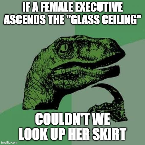 Philosoraptor | IF A FEMALE EXECUTIVE ASCENDS THE "GLASS CEILING"; COULDN'T WE LOOK UP HER SKIRT | image tagged in memes,philosoraptor | made w/ Imgflip meme maker