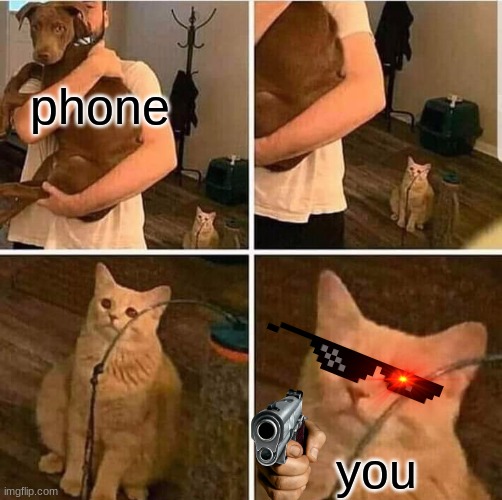 when you lost you'r phone and get mad | phone; you | image tagged in cat left out crying | made w/ Imgflip meme maker