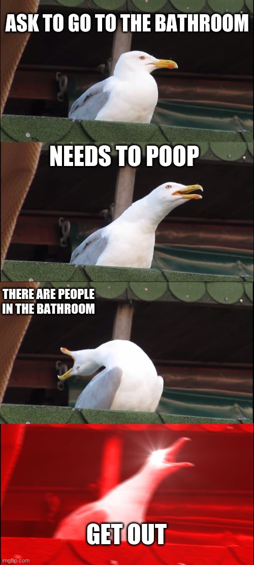 Inhaling Seagull | ASK TO GO TO THE BATHROOM; NEEDS TO POOP; THERE ARE PEOPLE IN THE BATHROOM; GET OUT | image tagged in memes,inhaling seagull | made w/ Imgflip meme maker