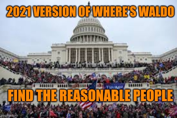 Capitol on January 6 | 2021 VERSION OF WHERE'S WALDO; FIND THE REASONABLE PEOPLE | image tagged in capitol on january 6 | made w/ Imgflip meme maker