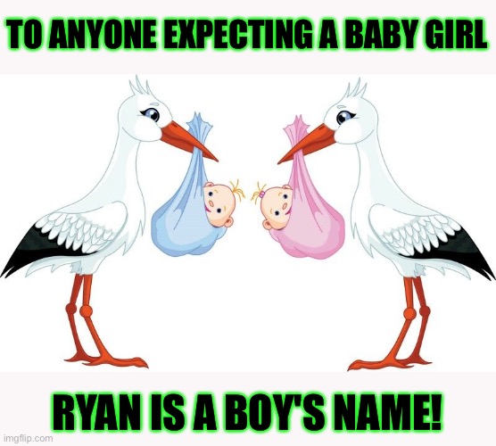 Ryan is a boy's name | TO ANYONE EXPECTING A BABY GIRL; RYAN IS A BOY'S NAME! | image tagged in pink stork blue stork,meme,memes,newborn,pregnancy | made w/ Imgflip meme maker