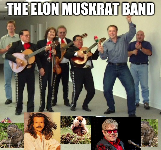 Elon Musk Dance | THE ELON MUSKRAT BAND | image tagged in elon musk dance | made w/ Imgflip meme maker