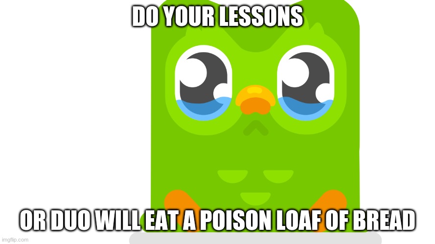 do ur lessons | DO YOUR LESSONS; OR DUO WILL EAT A POISON LOAF OF BREAD | image tagged in duolingo bird,sksksksk,bruhh,things duolingo teaches you,learning,guess i'll die | made w/ Imgflip meme maker