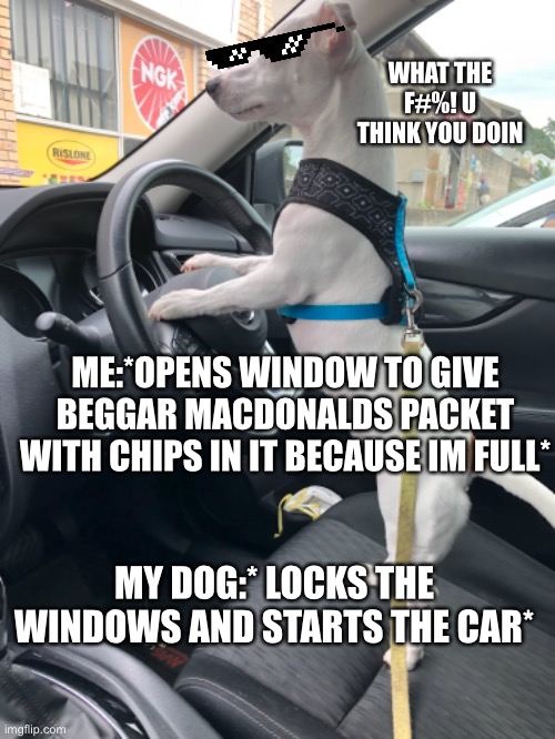 Mc donalds | WHAT THE F#%! U THINK YOU DOIN; ME:*OPENS WINDOW TO GIVE BEGGAR MACDONALDS PACKET WITH CHIPS IN IT BECAUSE IM FULL*; MY DOG:* LOCKS THE WINDOWS AND STARTS THE CAR* | image tagged in cute puppies | made w/ Imgflip meme maker