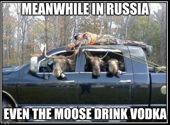 Even the animals in russia drink Vodka, Upvote to give these moose more  vodka - Imgflip