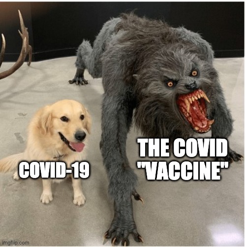 I'll take my chances | THE COVID "VACCINE"; COVID-19 | image tagged in dog wolf,coronavirus,covid-19,vaccine,ConservativesOnly | made w/ Imgflip meme maker