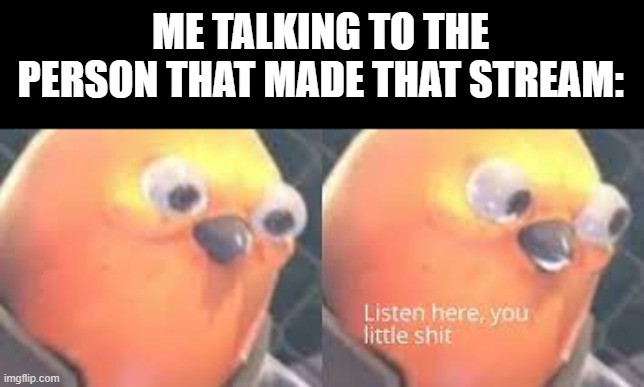 ME TALKING TO THE PERSON THAT MADE THAT STREAM: | made w/ Imgflip meme maker