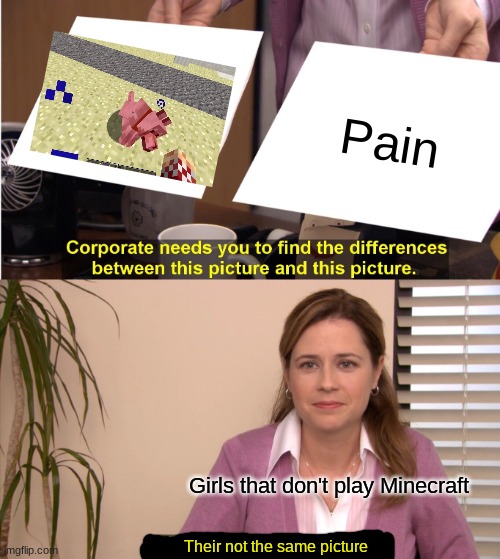 Minecraft dogs dying is the WORST pain! | Pain; Girls that don't play Minecraft; Their not the same picture | image tagged in memes,they're the same picture | made w/ Imgflip meme maker