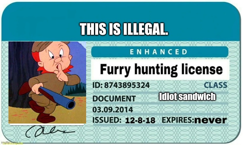 idiot sandwich did this | THIS IS ILLEGAL. Idiot sandwich | image tagged in furry hunting license | made w/ Imgflip meme maker