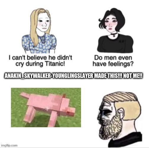 ANAKIN_SKYWALKER-YOUNGLINGSLAYER MADE THIS!!! NOT ME!! | image tagged in pain,minecraft | made w/ Imgflip meme maker