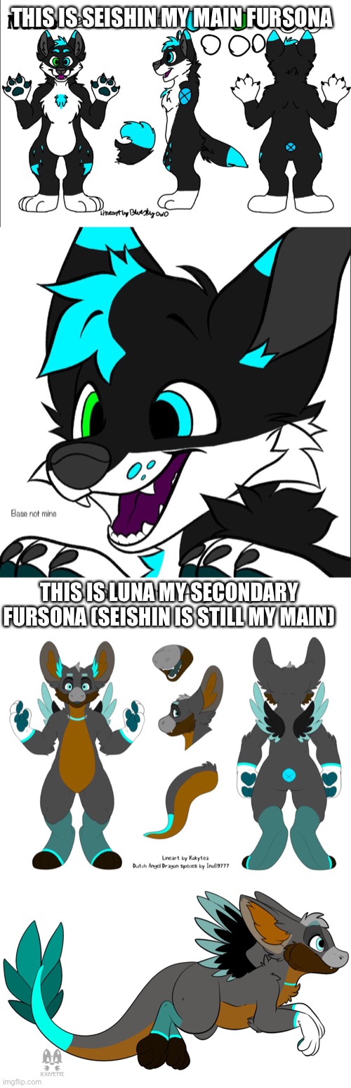 My two fursonas | THIS IS SEISHIN MY MAIN FURSONA; THIS IS LUNA MY SECONDARY FURSONA (SEISHIN IS STILL MY MAIN) | image tagged in furry,fursuit | made w/ Imgflip meme maker
