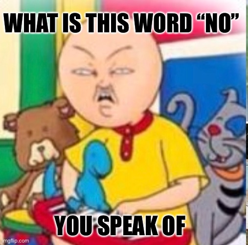 Up vote I found this image and want EVERYONE to use it | WHAT IS THIS WORD “NO”; YOU SPEAK OF | image tagged in begging for upvotes | made w/ Imgflip meme maker