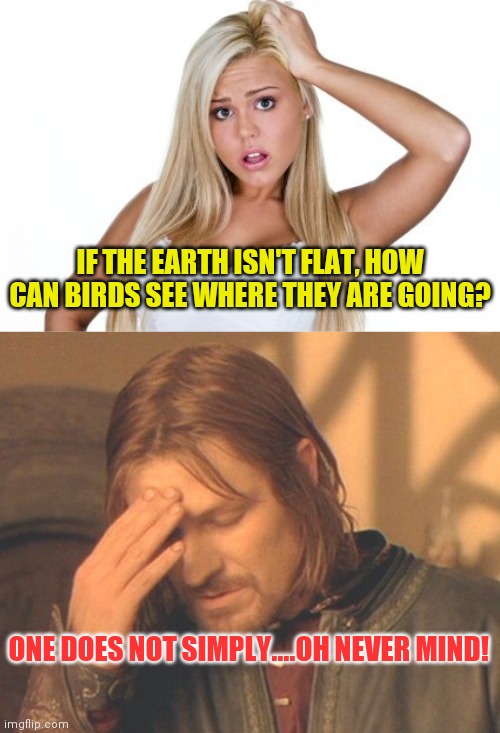 Dumb Blonde Frustrated Boromir | IF THE EARTH ISN'T FLAT, HOW CAN BIRDS SEE WHERE THEY ARE GOING? ONE DOES NOT SIMPLY....OH NEVER MIND! | image tagged in dumb blonde frustrated boromir | made w/ Imgflip meme maker