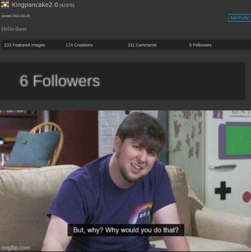 i'm not even funny... | image tagged in but why why would you do that | made w/ Imgflip meme maker