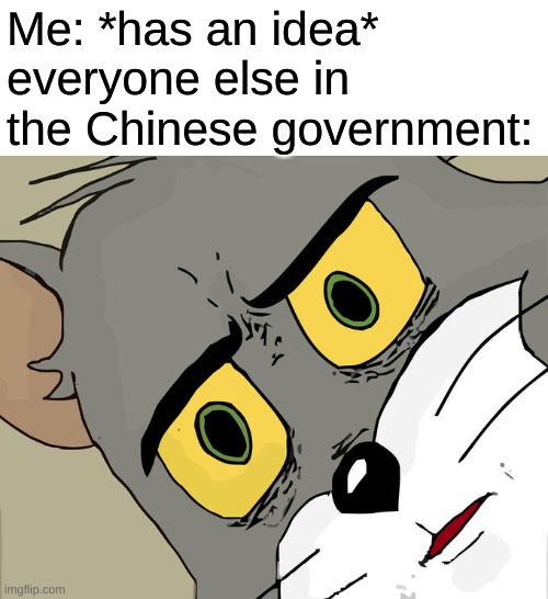 The Chinese Government | Me: *has an idea*
everyone else in the Chinese government: | image tagged in memes,unsettled tom | made w/ Imgflip meme maker