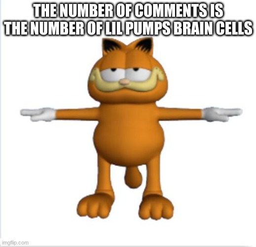 garfield t-pose | THE NUMBER OF COMMENTS IS THE NUMBER OF LIL PUMPS BRAIN CELLS | image tagged in garfield t-pose | made w/ Imgflip meme maker