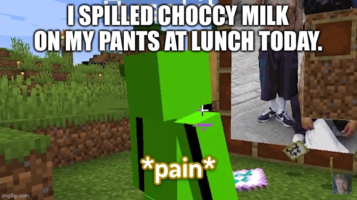 I SPILLED CHOCCY MILK ON MY PANTS AT LUNCH TODAY. | image tagged in p a i n | made w/ Imgflip meme maker