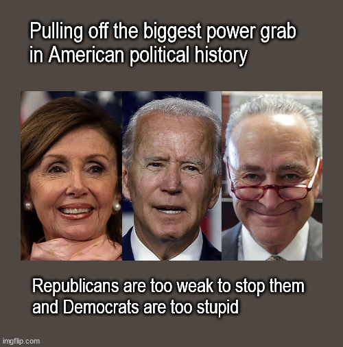 Political power grab | Pulling off the biggest power grab
in American political history; Republicans are too weak to stop them
and Democrats are too stupid | image tagged in politics | made w/ Imgflip meme maker