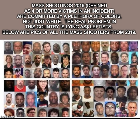 MASS SHOOTINGS 2019 (DEFINED AS 4 OR MORE VICTIMS IN AN INCIDENT) ARE COMMITTED BY A PLETHORA OF COLORS, NOT JUST WHITE.  THE REAL PROBLEM IN THIS COUNTRY IS LYING AS$ LEFTISTS.  BELOW ARE PICS OF ALL THE MASS SHOOTERS FROM 2019. | image tagged in domestic terrorism,politics | made w/ Imgflip meme maker