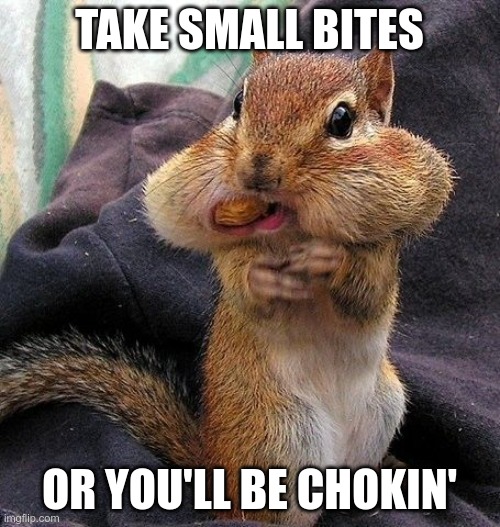 Squirrel full mouth | TAKE SMALL BITES OR YOU'LL BE CHOKIN' | image tagged in squirrel full mouth | made w/ Imgflip meme maker