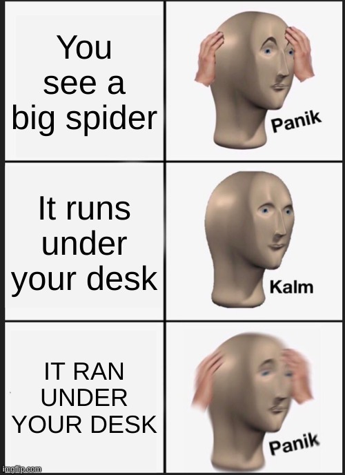 Time to burn down the house then | You see a big spider; It runs under your desk; IT RAN UNDER YOUR DESK | image tagged in memes,panik kalm panik | made w/ Imgflip meme maker