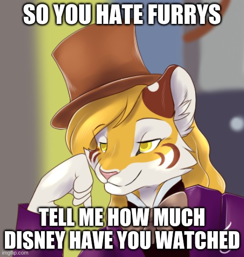 Creepy condensing wonka furry | SO YOU HATE FURRYS; TELL ME HOW MUCH DISNEY HAVE YOU WATCHED | image tagged in creepy condensing wonka furry | made w/ Imgflip meme maker