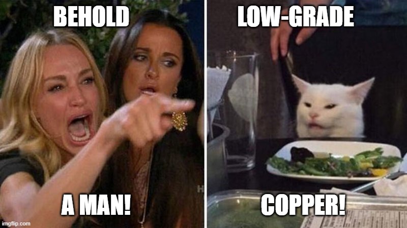 Diogenes vs Ea-Nasir | BEHOLD                        LOW-GRADE; A MAN!                             COPPER! | image tagged in woman argues with cat | made w/ Imgflip meme maker