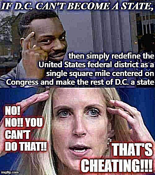 CONS DESTROYED WITH FACTS AND LOGIC. | image tagged in ann coulter,dc,washington dc,united states,america,the constitution | made w/ Imgflip meme maker