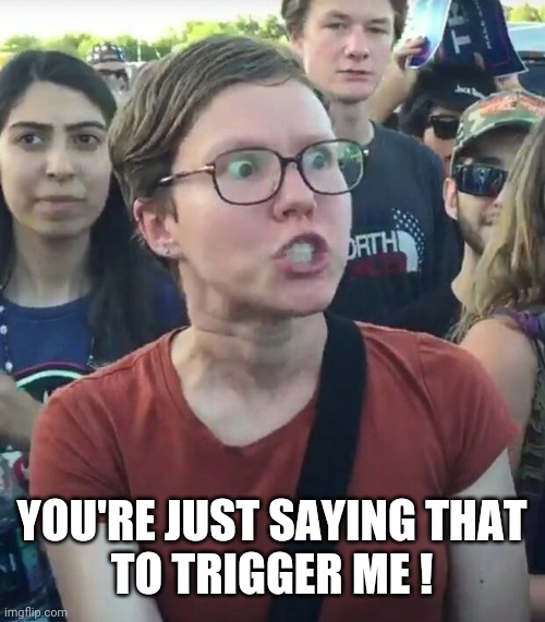super_triggered | YOU'RE JUST SAYING THAT
TO TRIGGER ME ! | image tagged in super_triggered | made w/ Imgflip meme maker