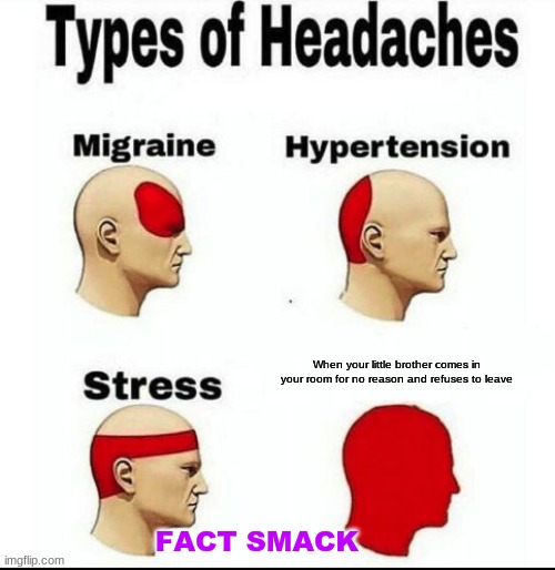 Types of Headaches meme | When your little brother comes in your room for no reason and refuses to leave; FACT SMACK | image tagged in types of headaches meme,brothers,facts | made w/ Imgflip meme maker