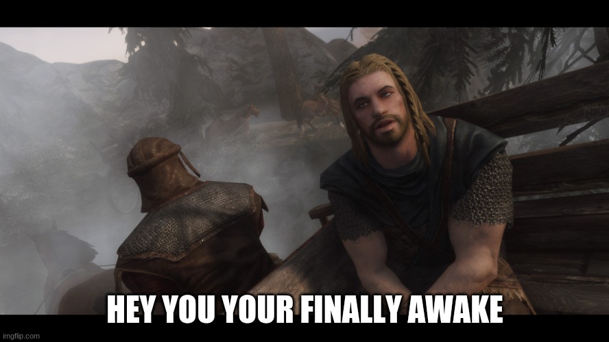 Ms Memer Group Skyrim You Re Finally Awake Memes Gifs Imgflip