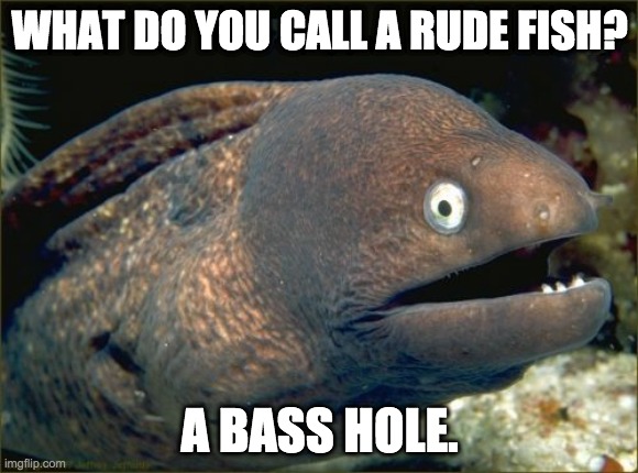 hheheeehehehee | WHAT DO YOU CALL A RUDE FISH? A BASS HOLE. | image tagged in memes,bad joke eel | made w/ Imgflip meme maker