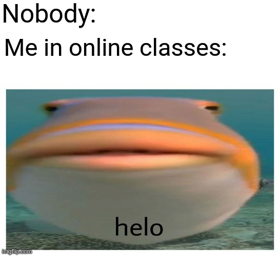 helo fish | Nobody:; Me in online classes: | image tagged in helo fish,online school,memes,funny | made w/ Imgflip meme maker