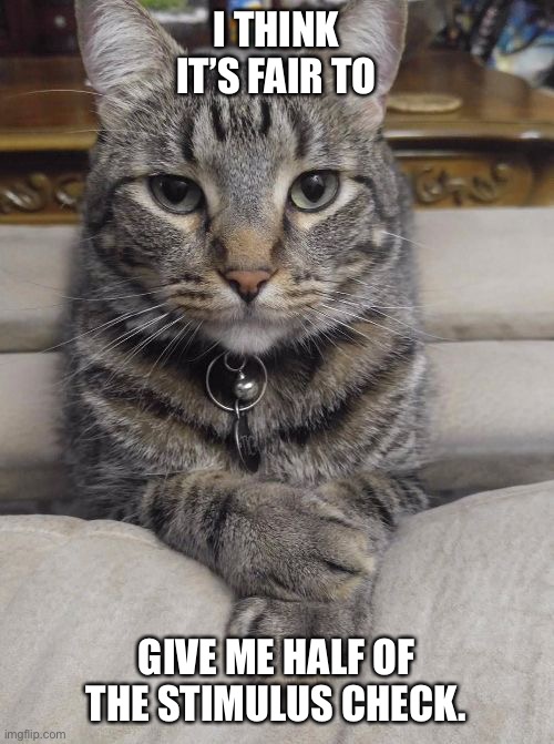 don't care cat | I THINK IT’S FAIR TO; GIVE ME HALF OF THE STIMULUS CHECK. | image tagged in don't care cat | made w/ Imgflip meme maker