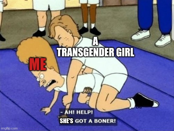 Wrestling with a Transgender will be | A TRANSGENDER GIRL; ME; SHE'S | image tagged in ah help hes got a boner | made w/ Imgflip meme maker