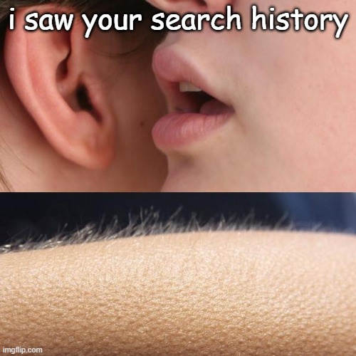 Whisper and Goosebumps | i saw your search history | image tagged in whisper and goosebumps | made w/ Imgflip meme maker