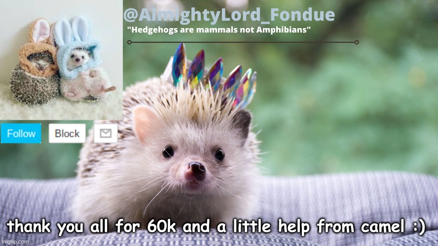 Appreciations | thank you all for 60k and a little help from camel :) | image tagged in fondue hedgehog temp | made w/ Imgflip meme maker