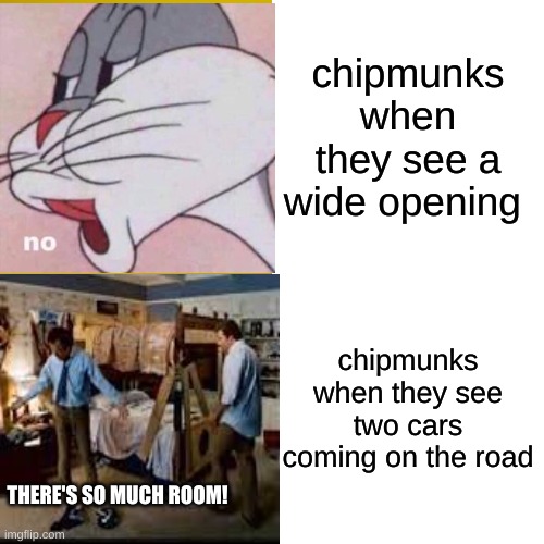 true or what | chipmunks when they see a wide opening; chipmunks when they see two cars coming on the road; THERE'S SO MUCH ROOM! | image tagged in memes | made w/ Imgflip meme maker