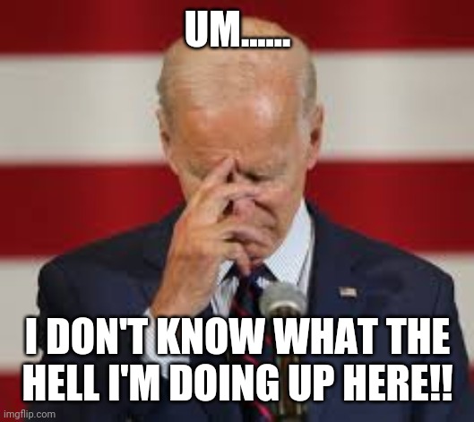 Joe is burnt toast...really burnt. | UM...... I DON'T KNOW WHAT THE HELL I'M DOING UP HERE!! | image tagged in memes | made w/ Imgflip meme maker