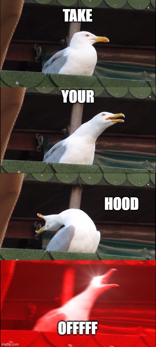 Teachers: | TAKE; YOUR; HOOD; OFFFFF | image tagged in memes,inhaling seagull | made w/ Imgflip meme maker