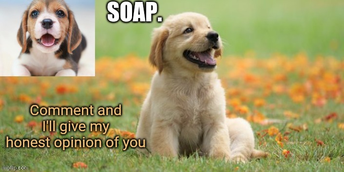I'm bored lmao | Comment and I'll give my honest opinion of you | image tagged in soap doggo template | made w/ Imgflip meme maker
